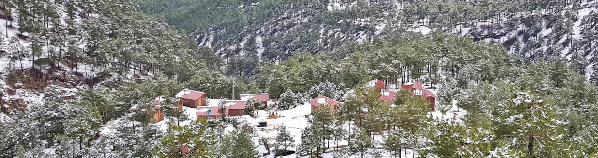 Turkuaz Park | Kayseri Ahşap Ev Turkuaz Park | Kayseri Ahşap Ev