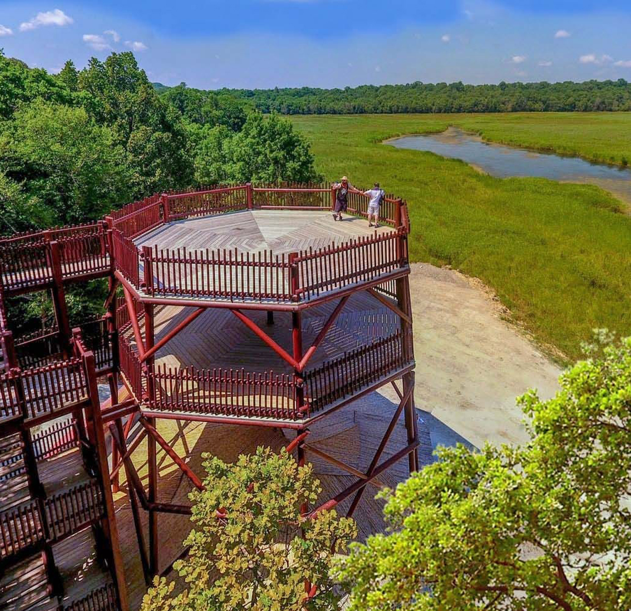 Turkuaz Park | İğneada Bird Watching Tower