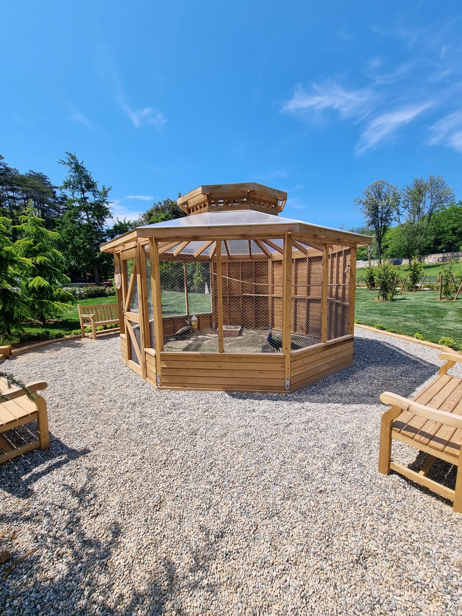 Turkuaz Park | Ahşap Tavus Kuşu Kümesi